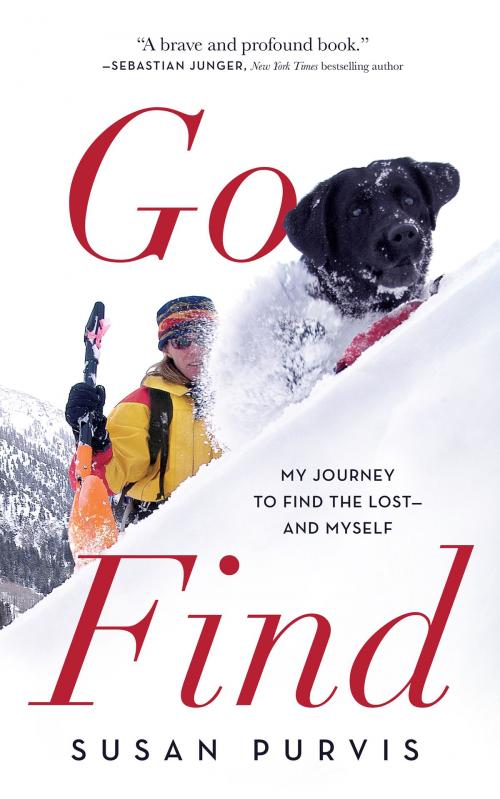 Cover of the book Go Find by Susan Purvis, Blackstone Publishing