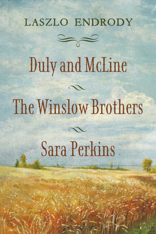 Cover of the book Duly and McLine, The Winslow Brothers, Sara Perkins by Laszlo Endrody, BookBaby