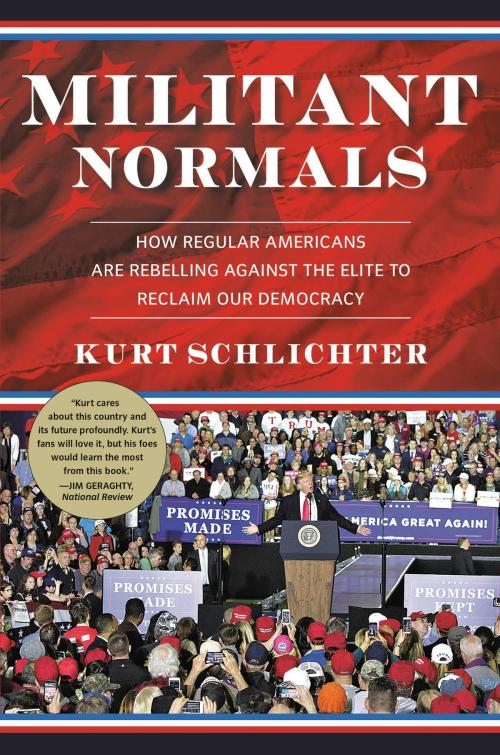 Cover of the book Militant Normals by Kurt Schlichter, Center Street