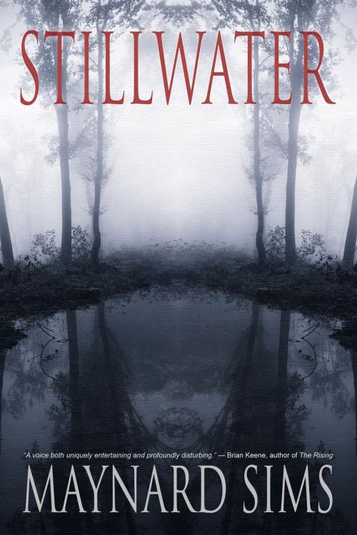 Cover of the book Stillwater by Maynard Sims, Cemetery Dance Publications