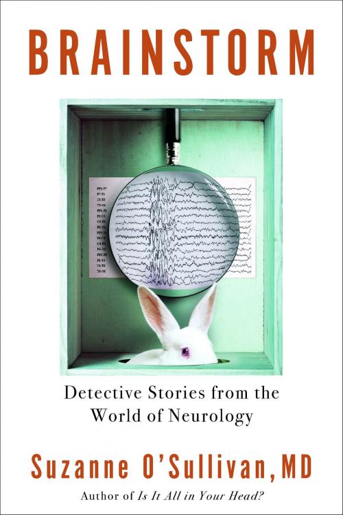 Cover of the book Brainstorm by Suzanne O'Sullivan, Other Press