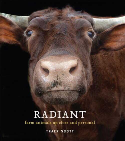 Cover of the book Radiant by Traer Scott, Princeton Architectural Press