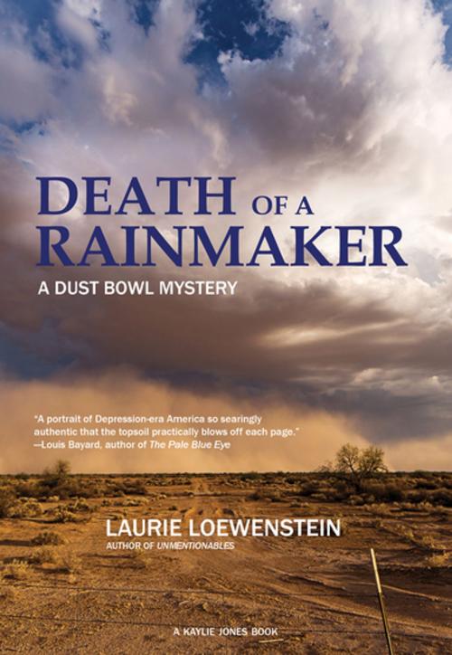 Cover of the book Death of a Rainmaker by Laurie Loewenstein, Akashic Books