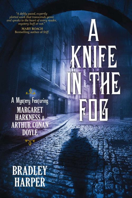 Cover of the book A Knife in the Fog by Bradley Harper, Seventh Street Books
