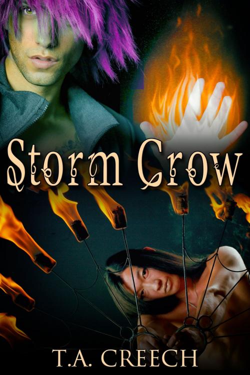 Cover of the book Storm Crow by T.A. Creech, JMS Books LLC