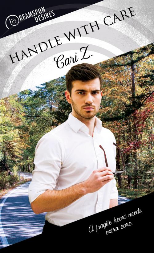 Cover of the book Handle With Care by Cari Z, Dreamspinner Press