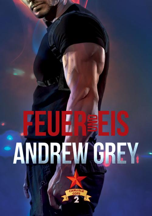 Cover of the book Feuer und Eis by Andrew Grey, Dreamspinner Press