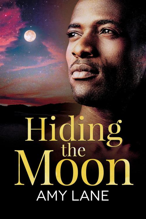 Cover of the book Hiding the Moon by Amy Lane, Dreamspinner Press