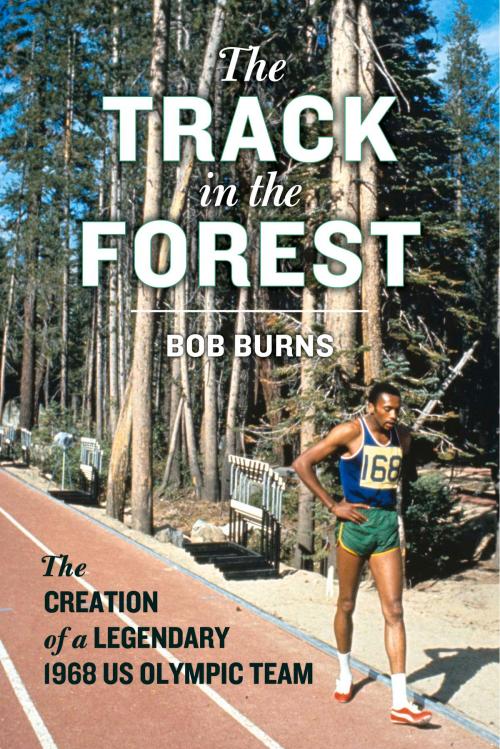 Cover of the book The Track in the Forest by Bob Burns, Chicago Review Press