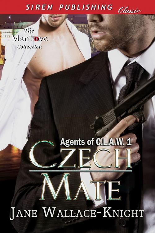 Cover of the book Czech Mate by Jane Wallace-Knight, Siren-BookStrand