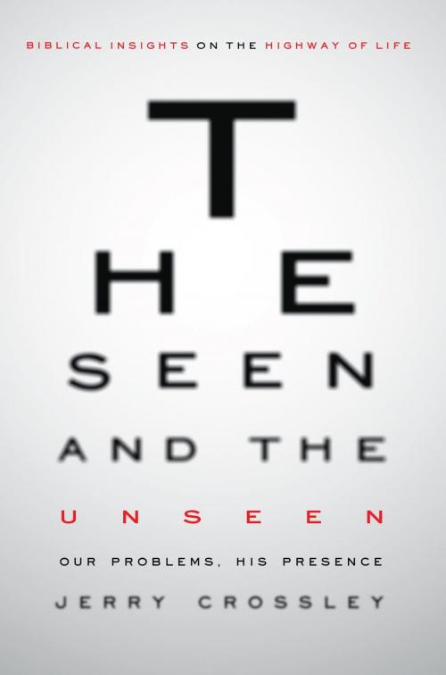 Cover of the book The Seen and the Unseen by Jerry Crossley, Stratton Press