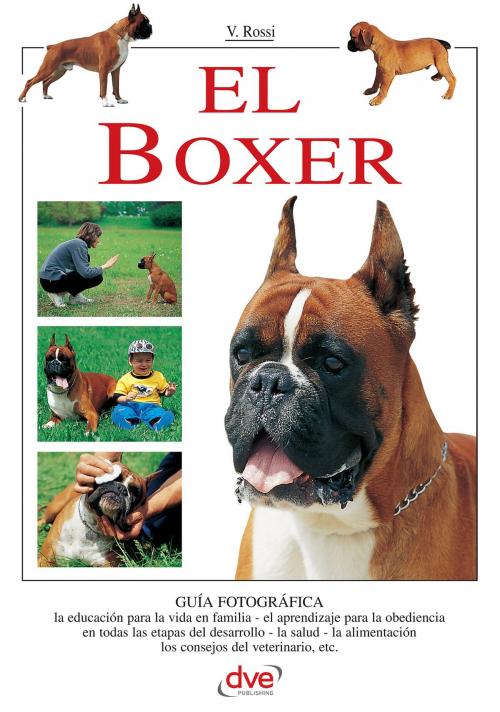 Cover of the book El Boxer by Valeria Rossi, Parkstone International