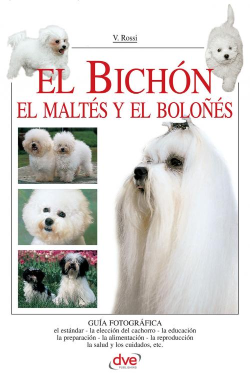 Cover of the book El Bichón by Valeria Rossi, Parkstone International