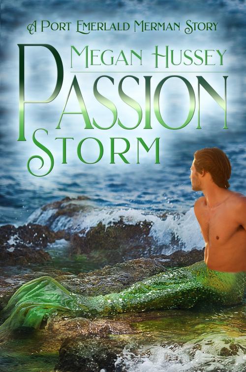 Cover of the book Passion Storm by Megan Hussey, Melange Books, LLC