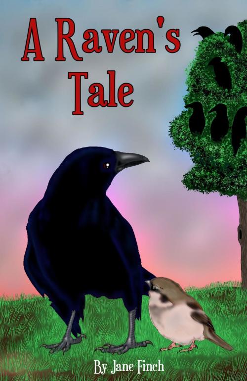 Cover of the book A Raven's Tale by Jane Finch, Crimson Cloak Publishing