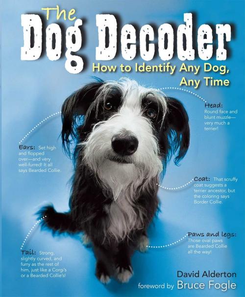 Cover of the book Dog Decoder by David Alderton, Marc Henrie, Thunder Bay Press