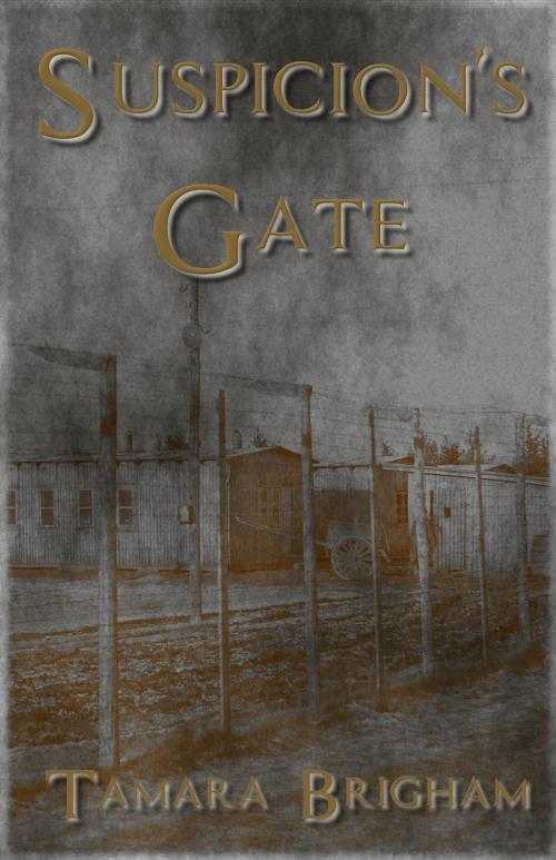 Cover of the book Suspicion's Gate by Tamara Brigham, Tammy Brigham