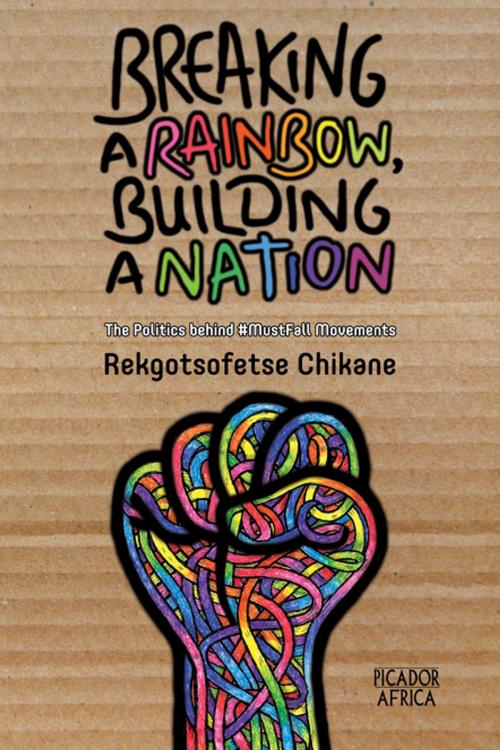Cover of the book Breaking A Rainbow, Building A Nation by Rekgotsofetse Chikane, Pan Macmillan SA