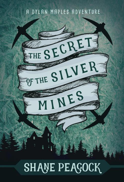 Cover of the book The Secret of the Silver Mines by Shane Peacock, Nimbus