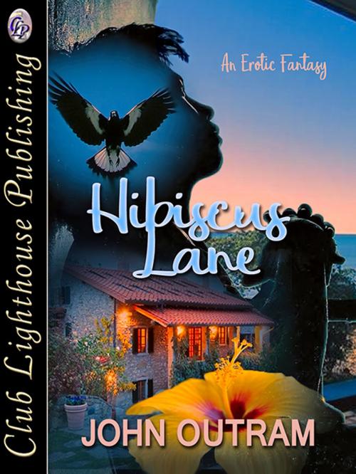 Cover of the book Hibiscus Lane by John Outram, Club Lighthouse Publishing