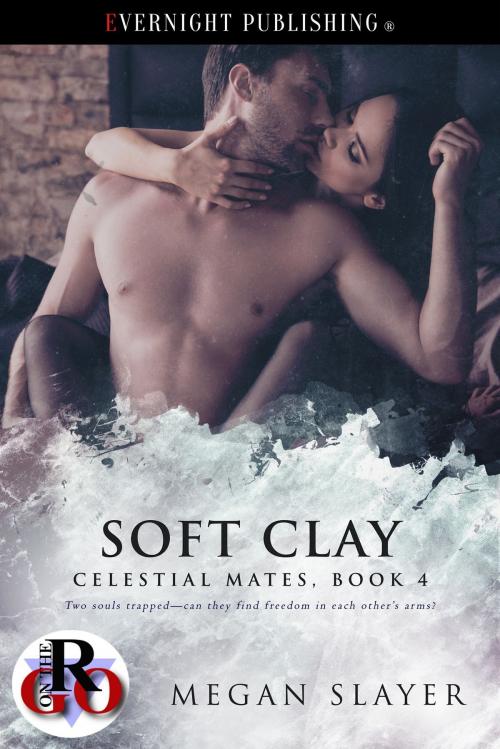 Cover of the book Soft Clay by Megan Slayer, Evernight Publishing