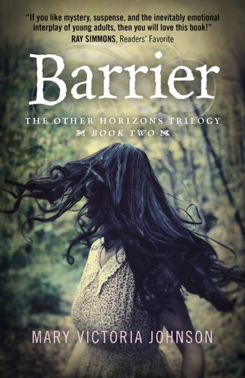 Cover of the book Barrier by Mary Victoria Johnson, John Hunt Publishing