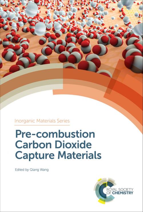 Cover of the book Post-combustion Carbon Dioxide Capture Materials by Wei Xing, Benoit Louis, Wha-Seung Ahn Ahn, Hirofumi Kanoh, Rajender Gupta, Duncan W Bruce, Dermot O'Hare, Richard I Walton, Royal Society of Chemistry