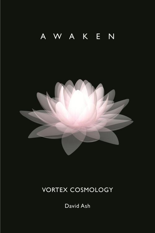Cover of the book Vortex Cosmology: Awaken by David Ash, Robin Beck