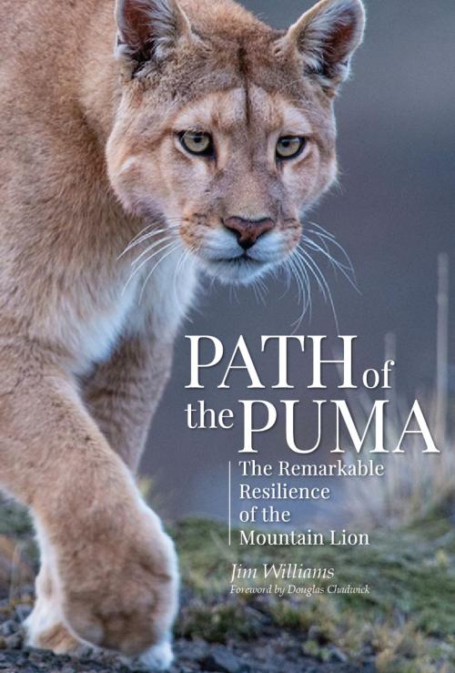 Cover of the book Path of the Puma by Jim Williams, Patagonia