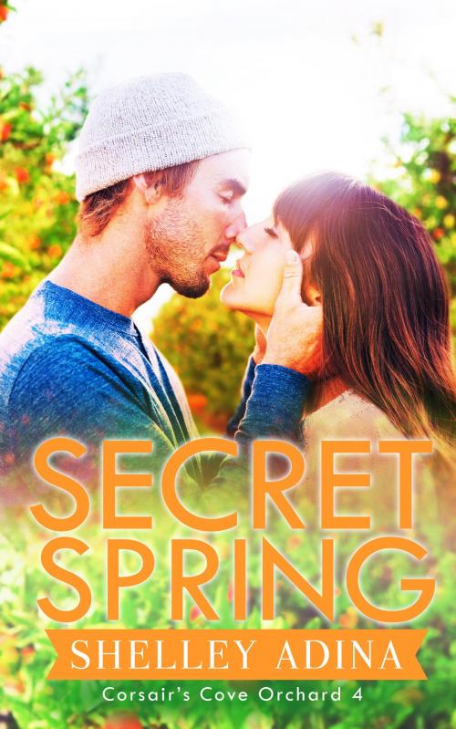 Cover of the book Secret Spring by Shelley Adina, Moonshell Books, Inc.