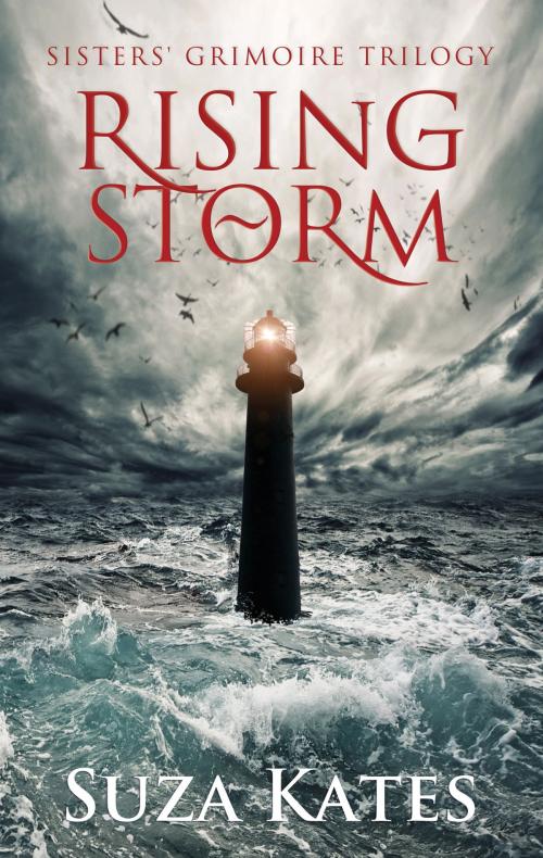Cover of the book Rising Storm by Suza Kates, Icasm Press