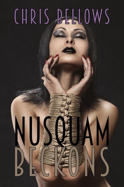 Cover of the book Nusquam Beckons by Chris Bellows, Pink Flamingo Media