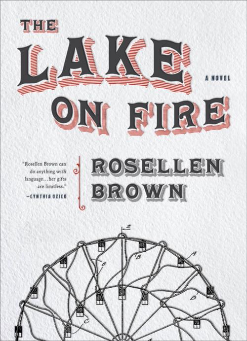 Cover of the book The Lake on Fire by Rosellen Brown, Sarabande Books