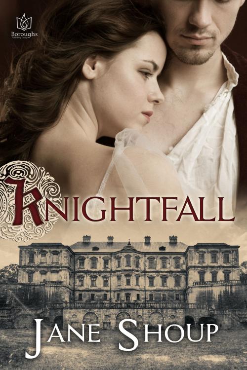 Cover of the book Knightfall by Jane Shoup, Boroughs Publishing Group