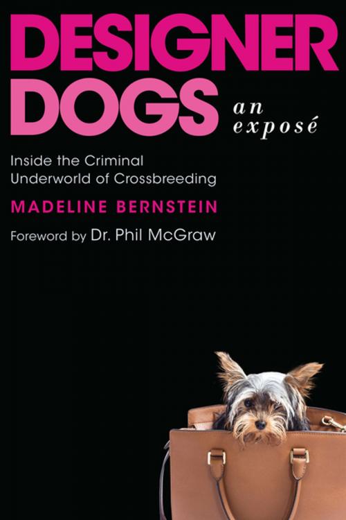 Cover of the book Designer Dogs: An Exposé by Madeline Bernstein, Apollo Publishers