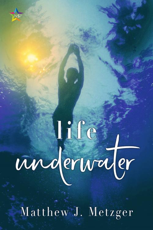 Cover of the book Life Underwater by Matthew J. Metzger, Nine Star Press