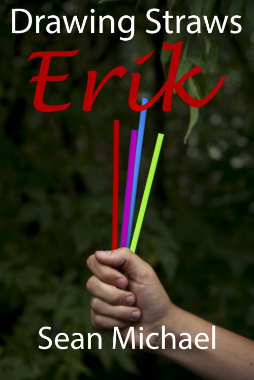 Cover of the book Drawing Straws: Erik by Sean Michael, Sean Michael