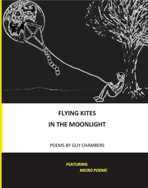 Cover of the book Flying Kites in the Moonlight by Guy Chambers, Dream Write Publishing