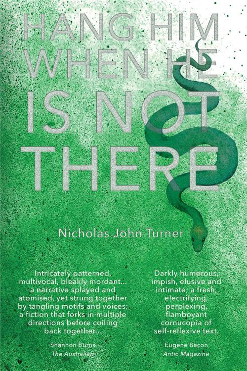 Cover of the book Hang Him When He Is Not There by Nicholas John Turner, Splice