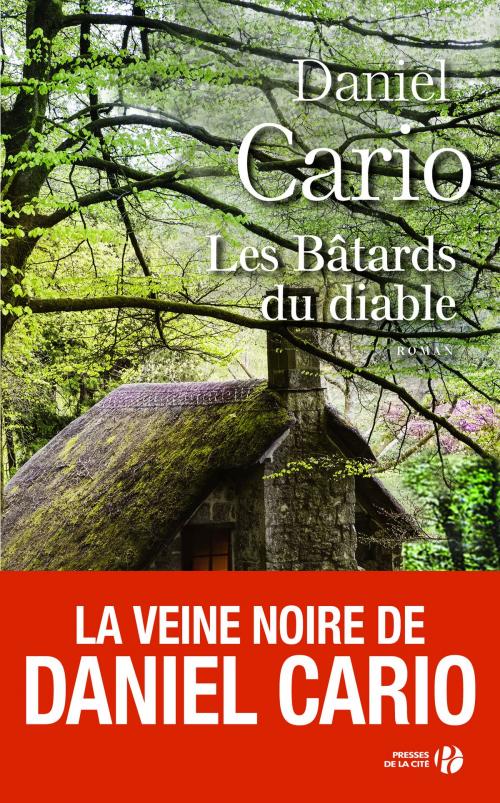 Cover of the book Les Bâtards du diable by Daniel CARIO, Place des éditeurs