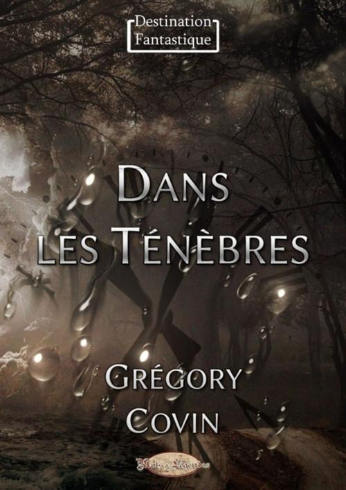 Cover of the book Dans les Ténèbres by Grégory Covin, Mots & Légendes