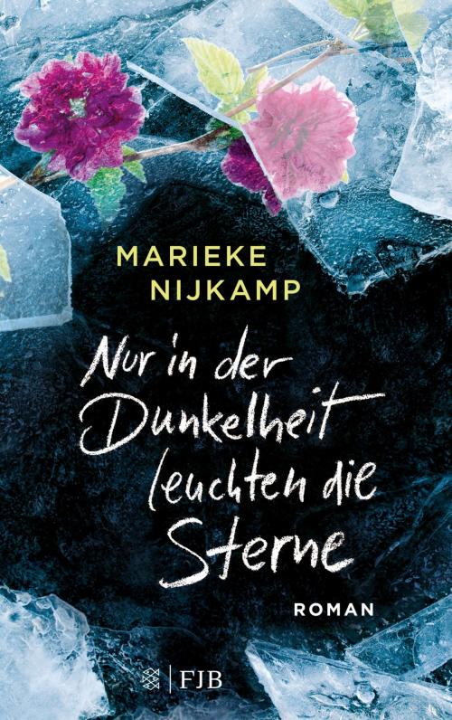 Cover of the book Nur in der Dunkelheit leuchten die Sterne by Marieke Nijkamp, FISCHER E-Books