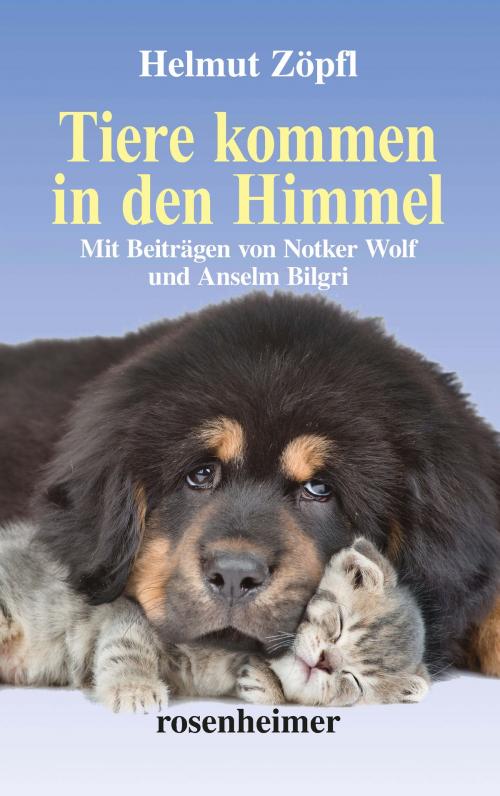 Cover of the book Tiere kommen in den Himmel (erweiterte Neuauflage) by Helmut Zöpfl, Rosenheimer Verlagshaus