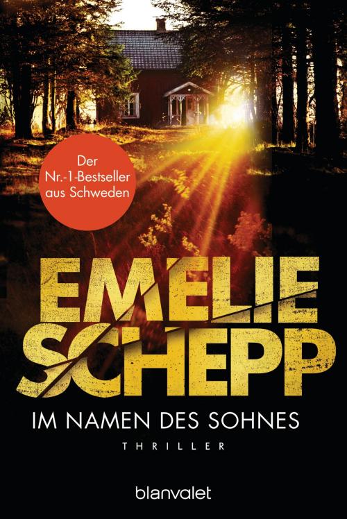 Cover of the book Im Namen des Sohnes by Emelie Schepp, Blanvalet Taschenbuch Verlag