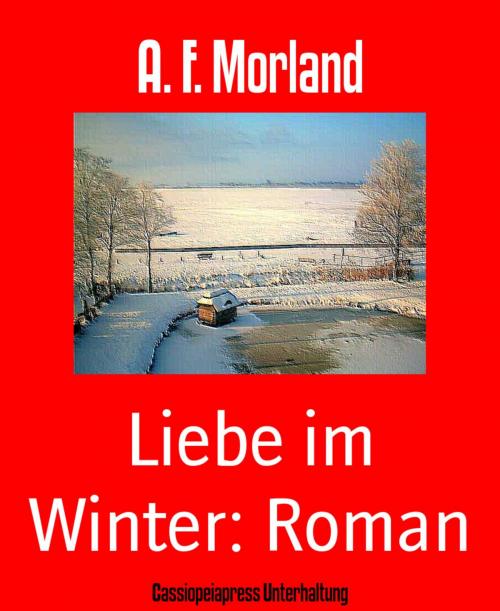 Cover of the book Liebe im Winter: Roman by A. F. Morland, BookRix