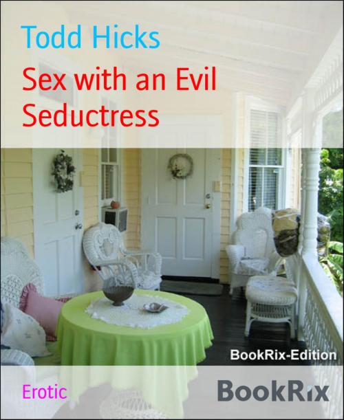 Cover of the book Sex with an Evil Seductress by Todd Hicks, BookRix