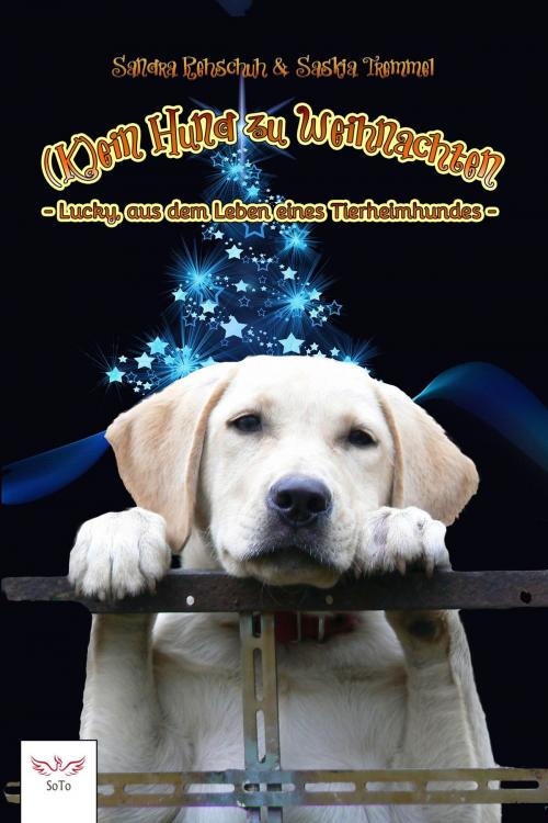 Cover of the book (K)ein Hund zu Weihnachten by Sandra Rehschuh, Saskia Tremmel, Soto Media