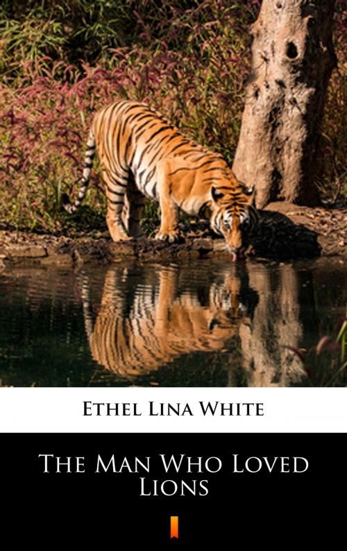 Cover of the book The Man Who Loved Lions by Ethel Lina White, Ktoczyta.pl