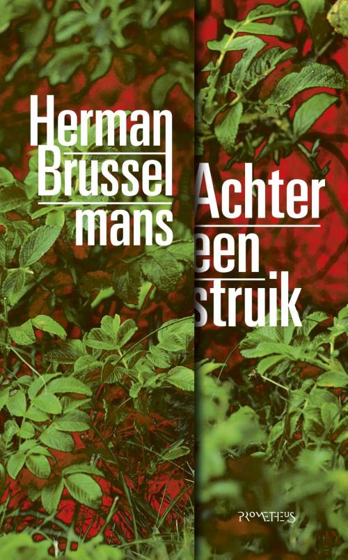 Cover of the book Achter een struik by Herman Brusselmans, Prometheus, Uitgeverij