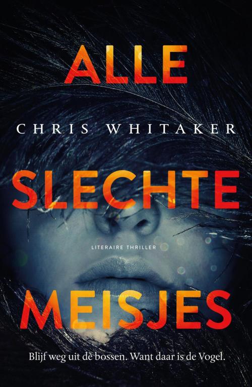 Cover of the book Alle slechte meisjes by Chris Whitaker, Bruna Uitgevers B.V., A.W.